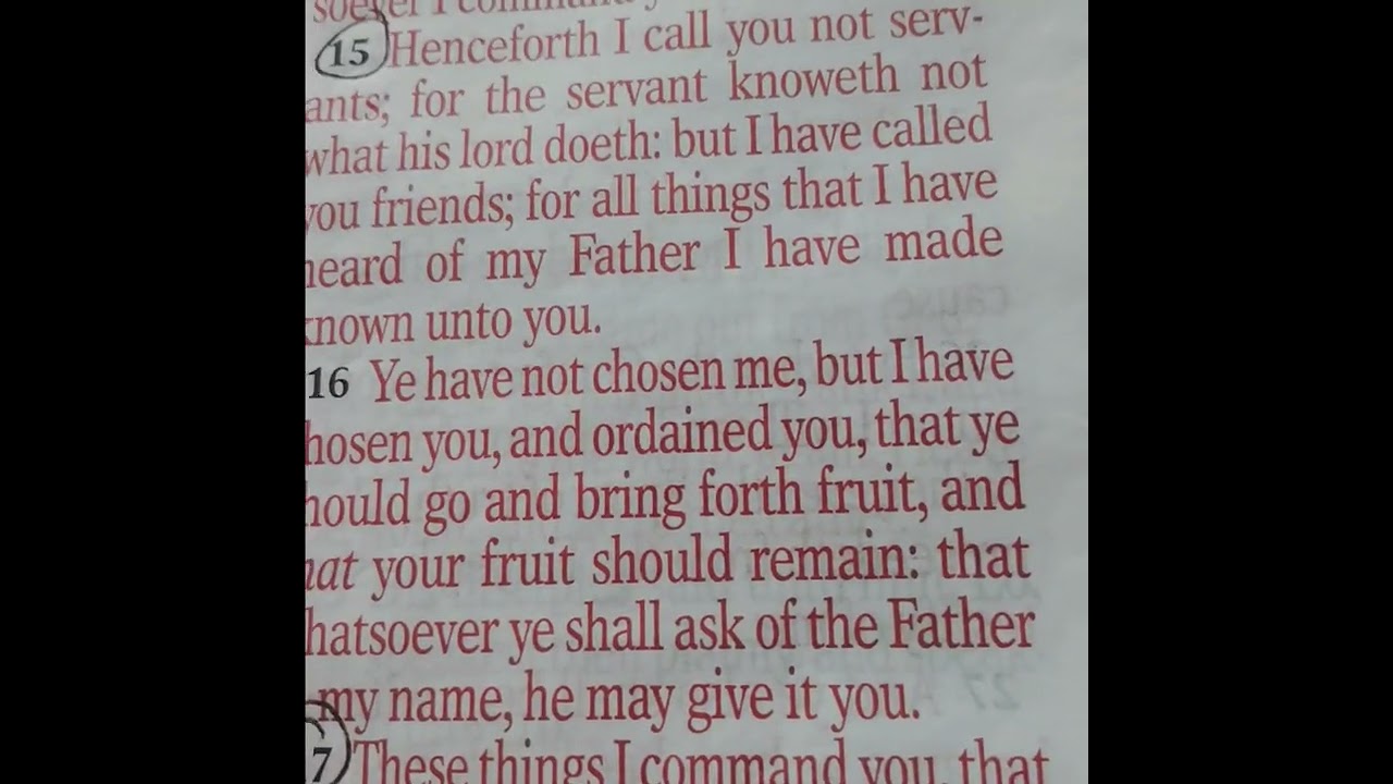 God told you to leave 9-5?|Criticized for your faith|set apart| 🔥🔥🔥🔥🔥#encouragement |ushering you n2