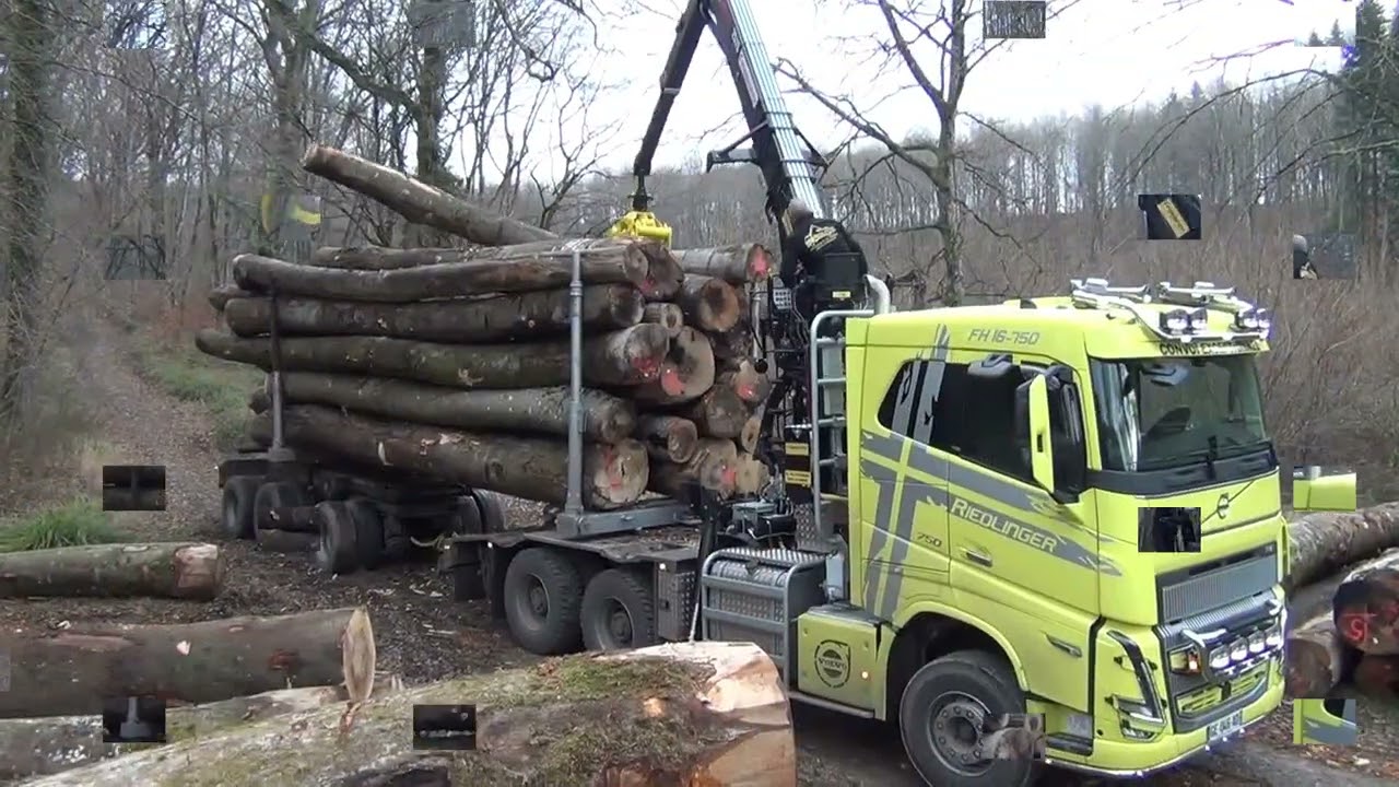 Transports Riedlinger New fh16 750