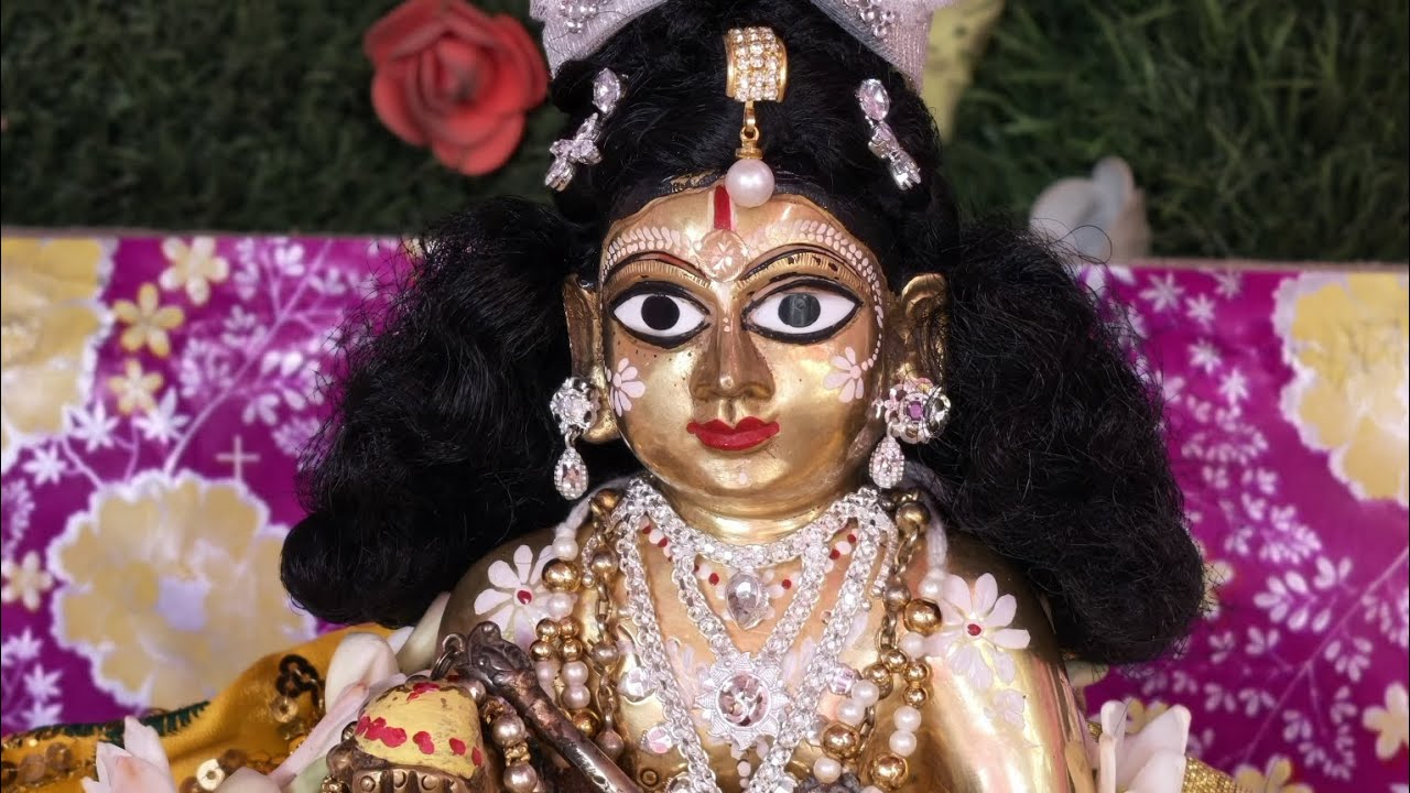 আমার বাড়ির গোপাল উৎসবের মেলা দর্শন করুন🙏👍