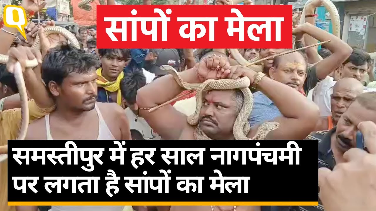 Samastipur Snake Festival: बिहार में लगता है सांपों का अनोखा मेला, हजारों लोग होते हैं शामिल।Quint