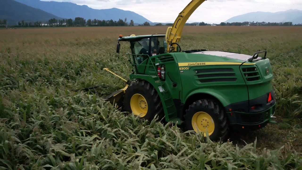 John Deere 8300i Forage Harvester | Wiebetter Holsteins - Creston, BC