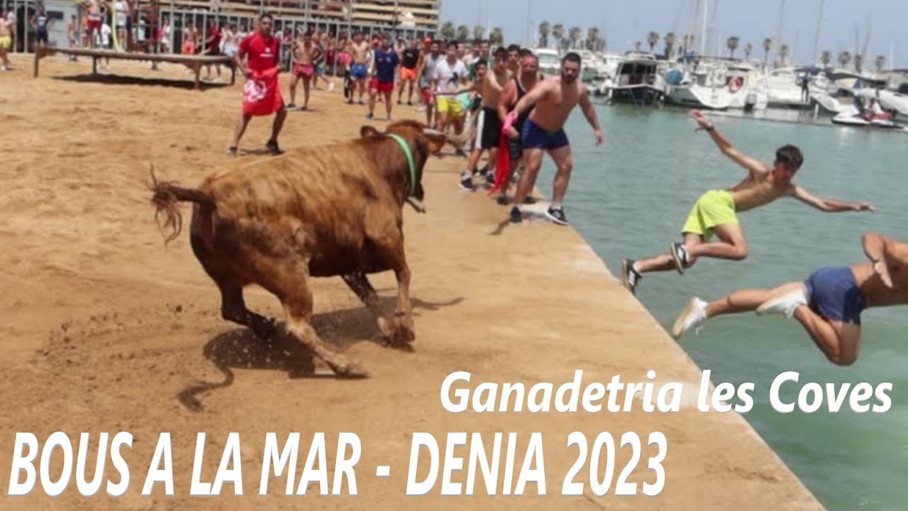 BOUS A LA MAR - DENIA 2023 - Ganadetria les Coves