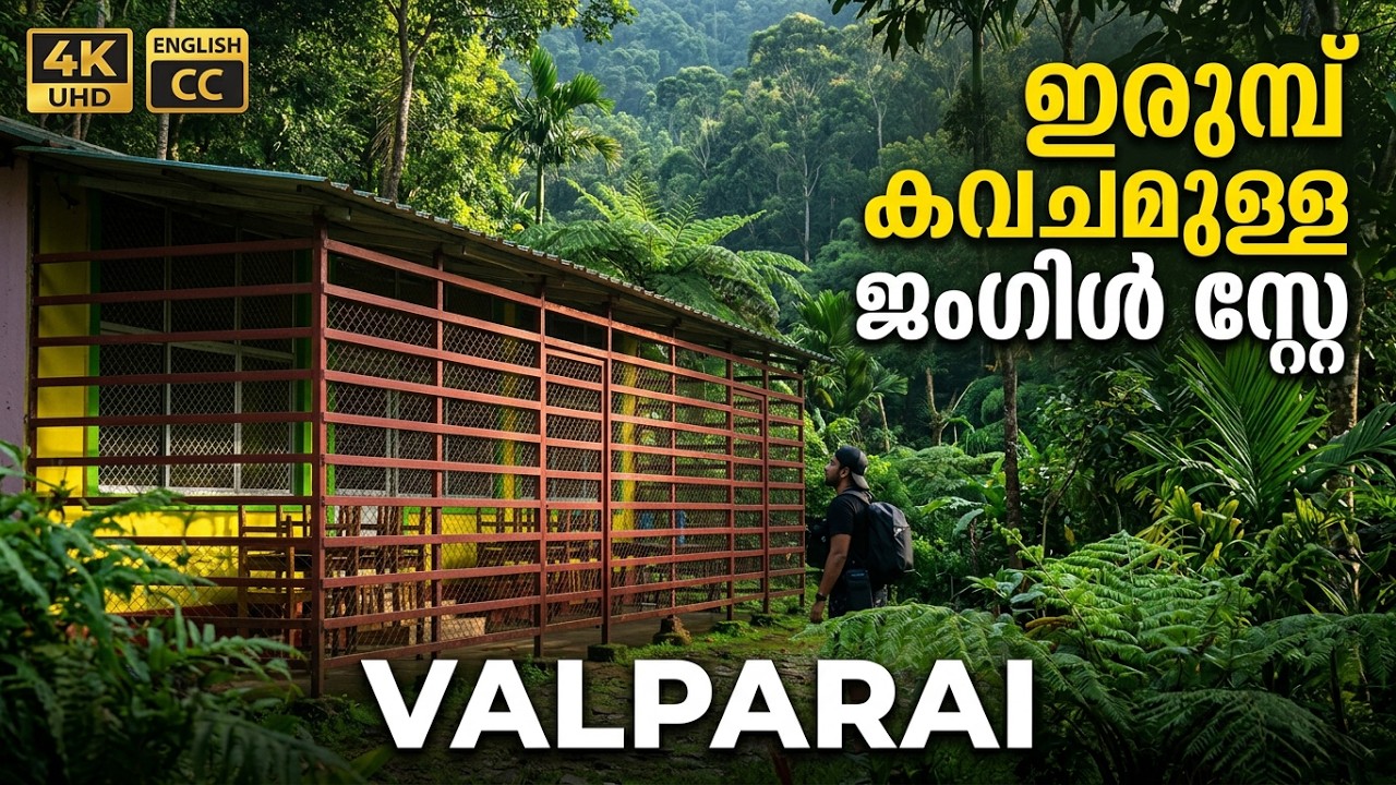 വാൽപ്പാറയിലെ കൊരങ്ങുമുടി | Forest Stay | Jungle stay Resort | Korangumudi | Valparai | 4K UHD