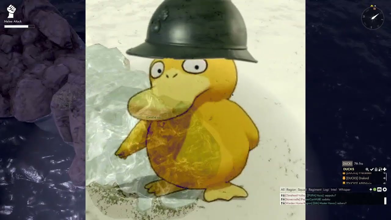 DUCKS 2