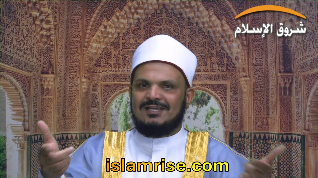 قلوب نطقت بالحكمة ( فضيلة الشيخ عطيه عوده )