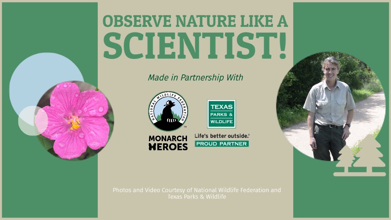 Observe Nature Like a Scientist!