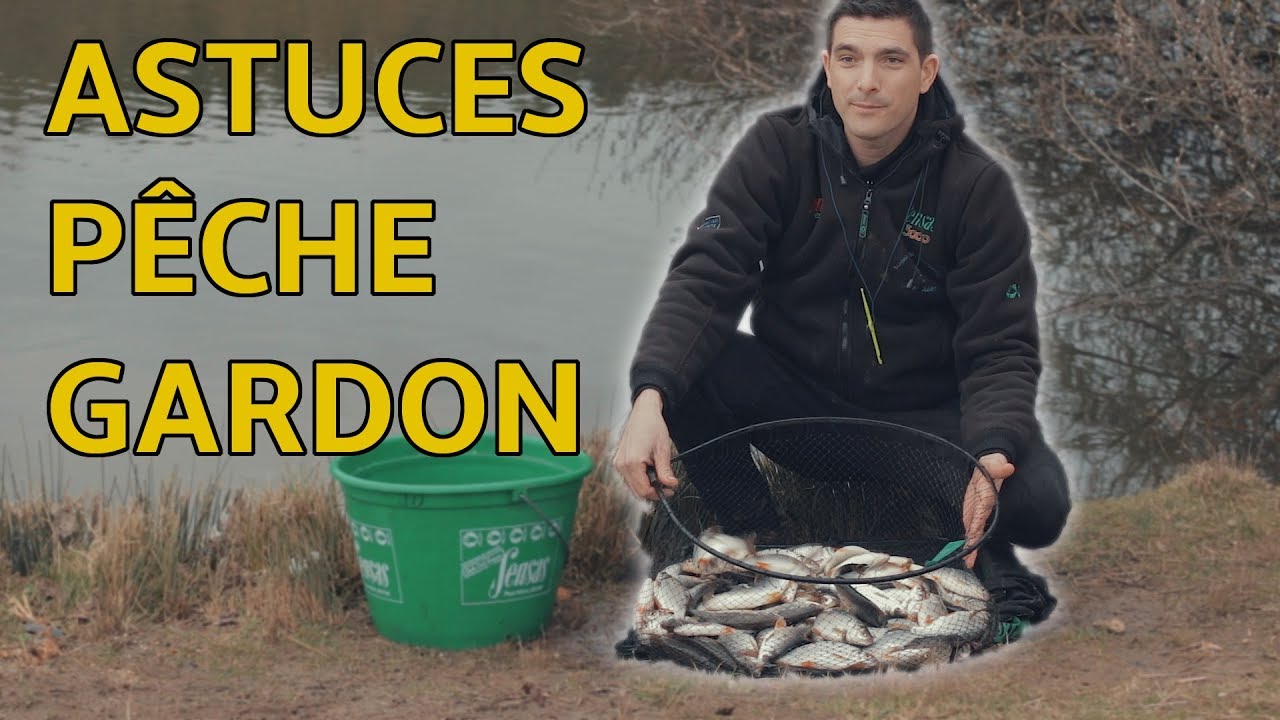 Astuces pour la pêche au coup du Gardon en Etang   Extraits Netpeche Magazine 9