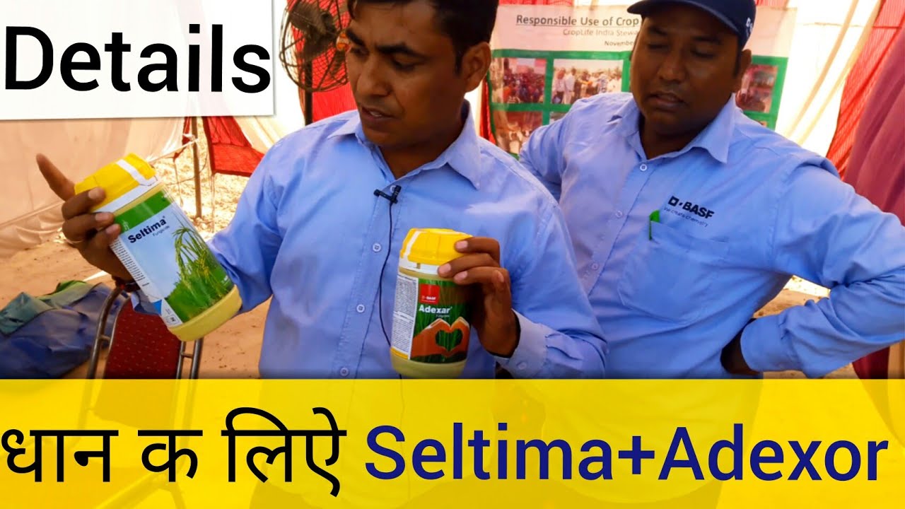 #Part5 BASF Adexor and seltima Fungicide for paddy (Patiala Kisan mela 19.03.2018)