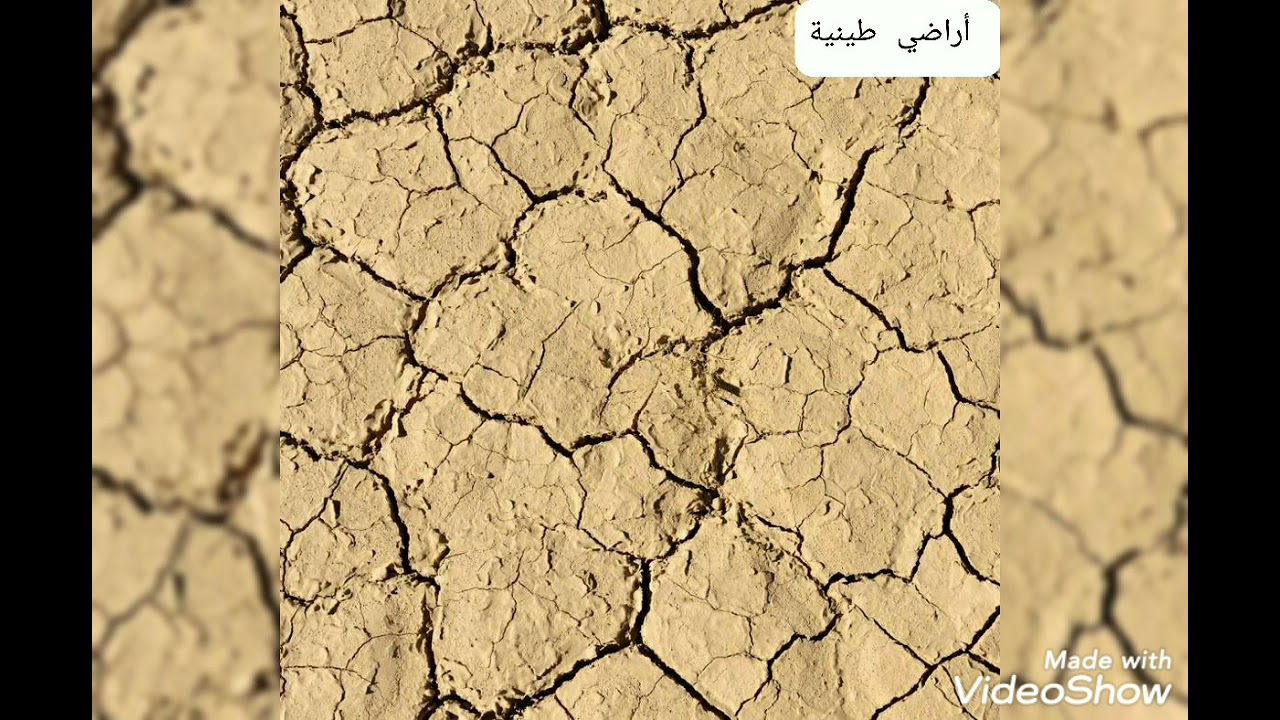 أنواع الأراضي وأهم مشاكلها وكيفية التغلب عليها