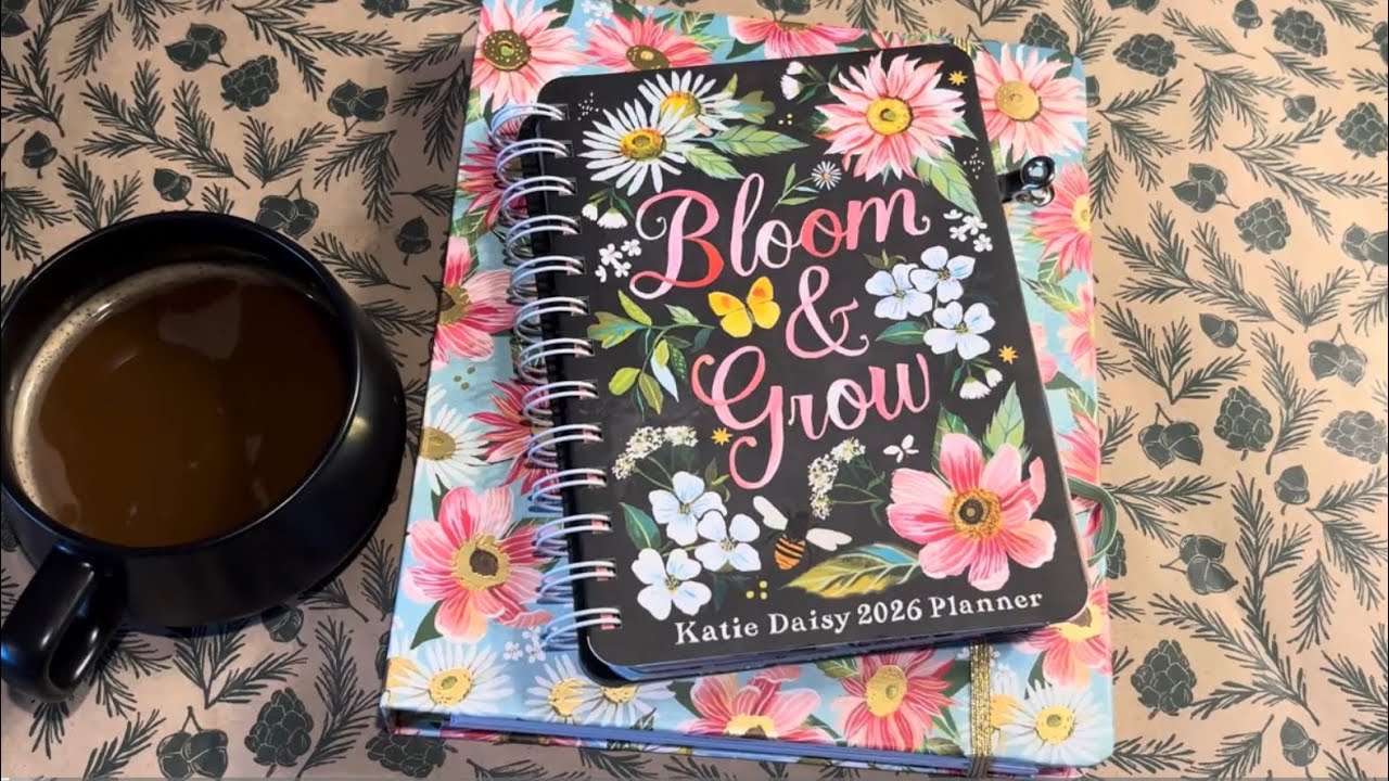 2026 Katie Daisy Planner Flip Through & Comparison | Deluxe Vs Regular 