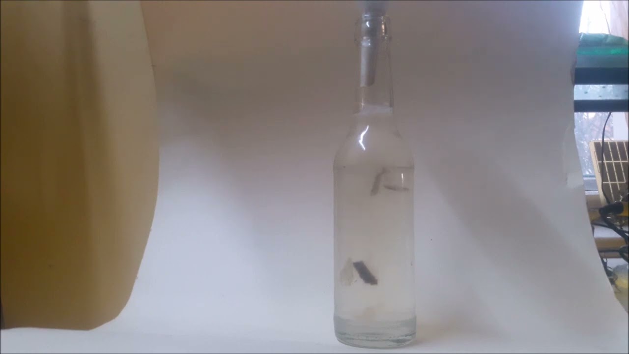 Infusorien sauber verfüttern