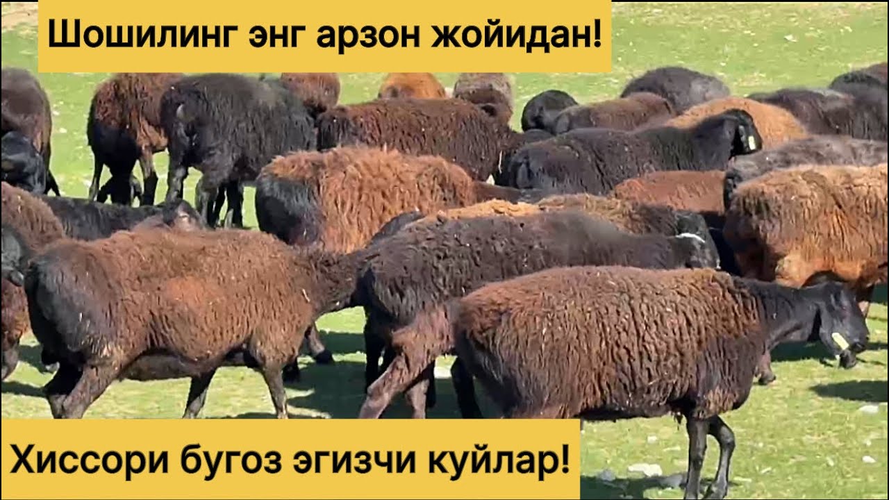 Энг арзон жойидан! 992168330☎️
