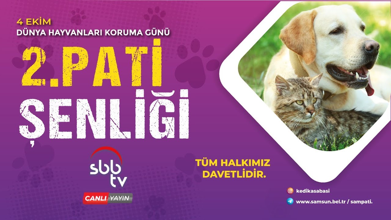 Samsun 2. Pati Şenliği