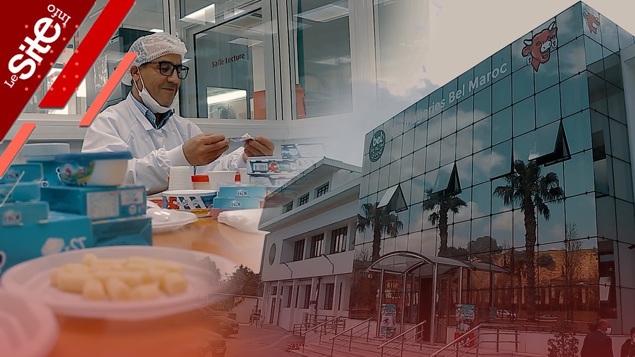 شركة رائدة في صناعة 