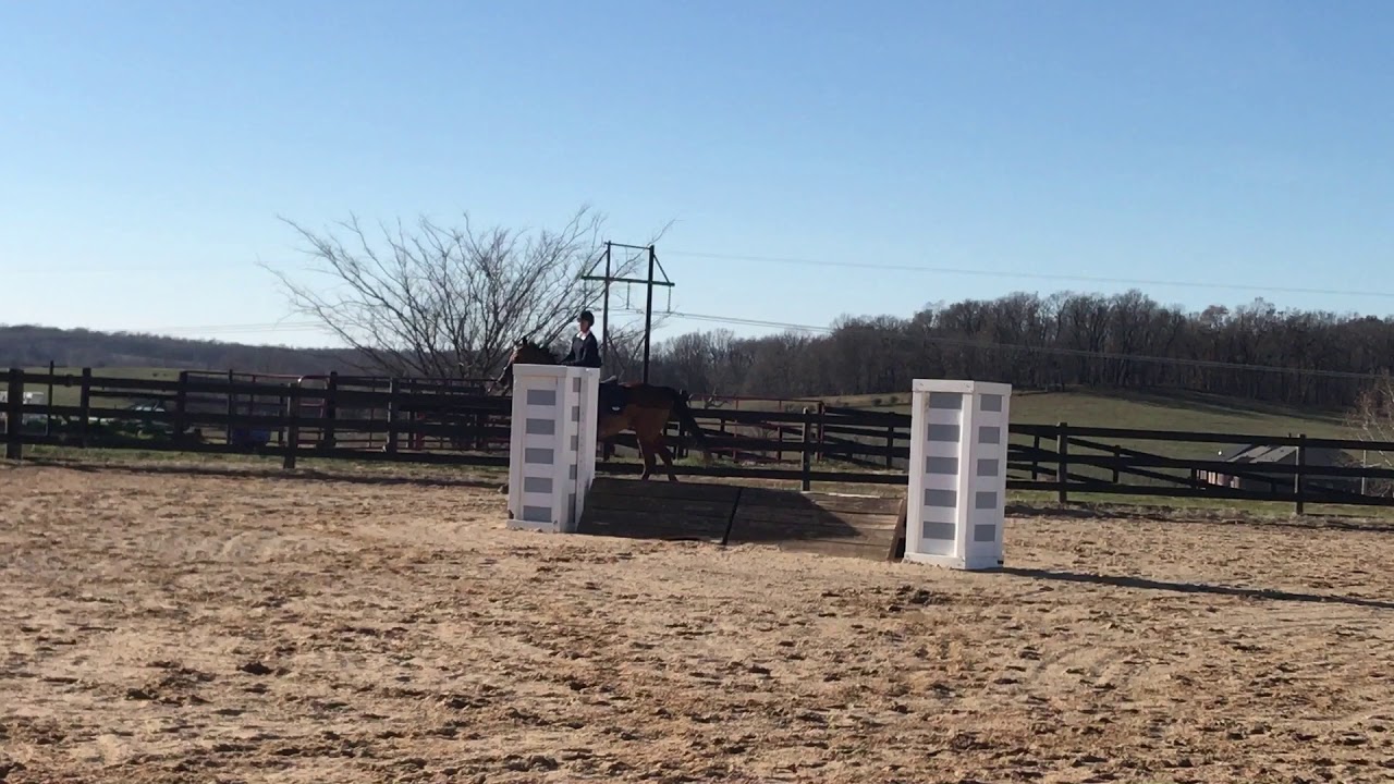 Meagan and Joey lesson December