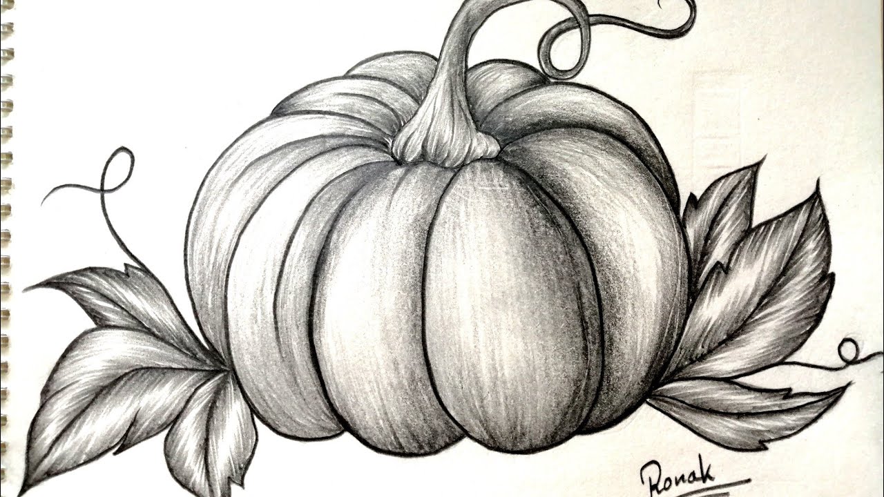 Pumpkin Drawing। How to shade for beginners। Pencil art tutorial @ronaksdrawing