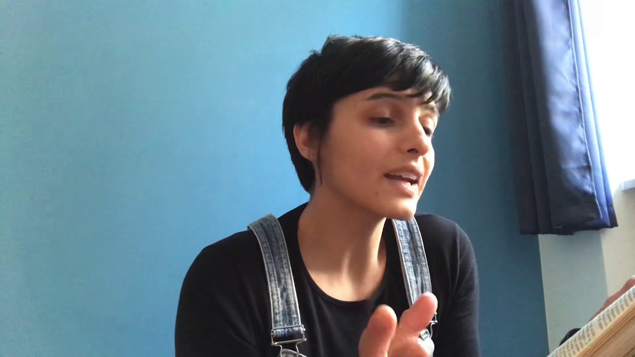 Palomar di Italo Calvino. Il fischio del merlo