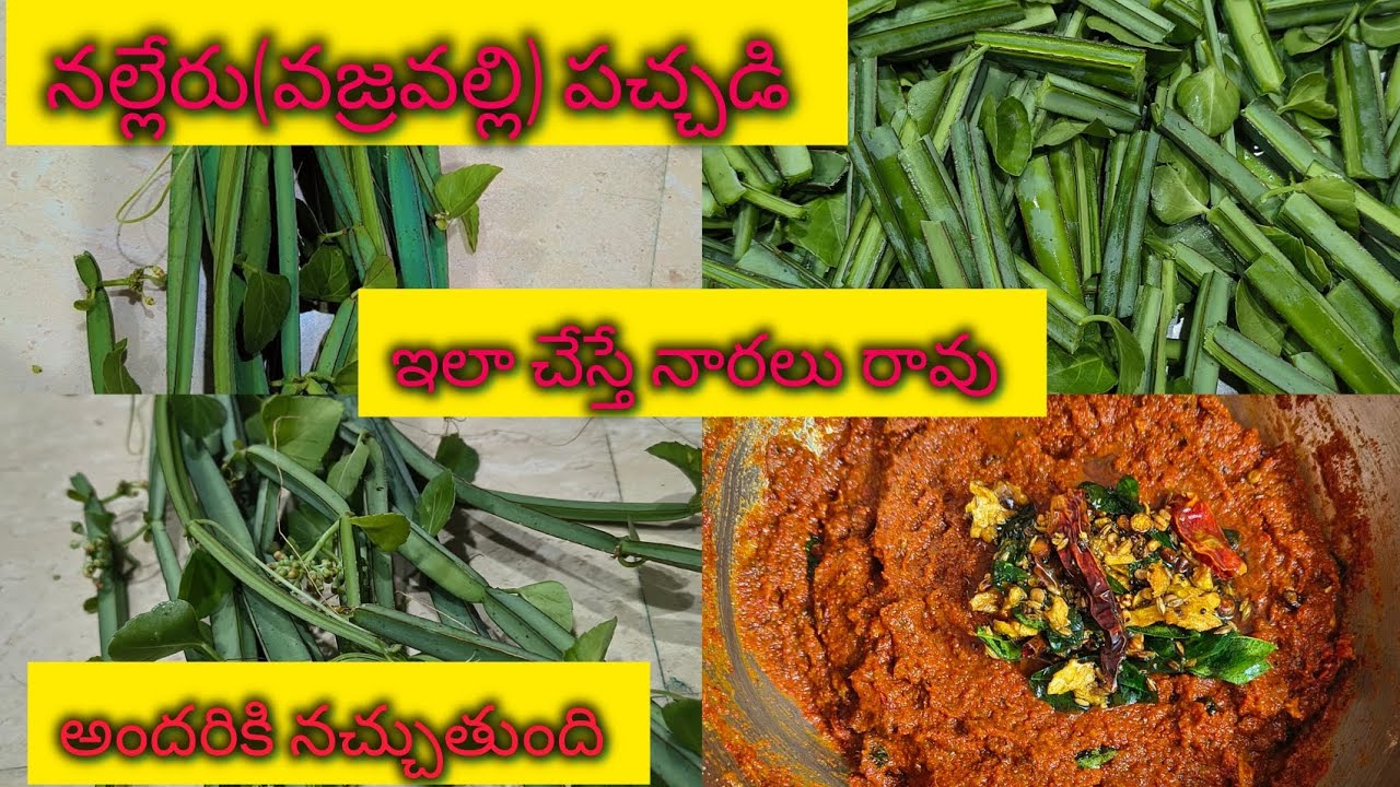 నల్లేరు (వజ్రవల్లి)పచ్చడి👌👌 నారలు రాకుండా💯💯తప్పకుండా అందరికి నచ్చుతుంది# kitchen## YouTube video#