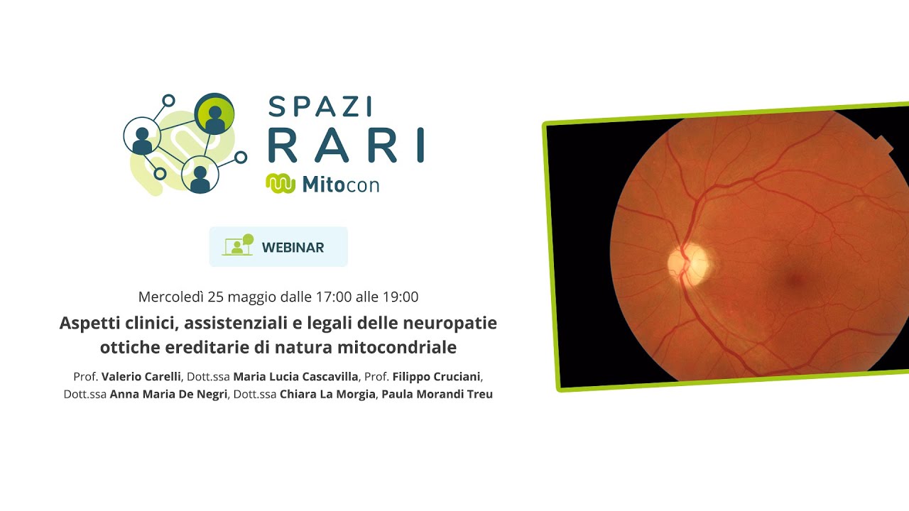 Webinar 