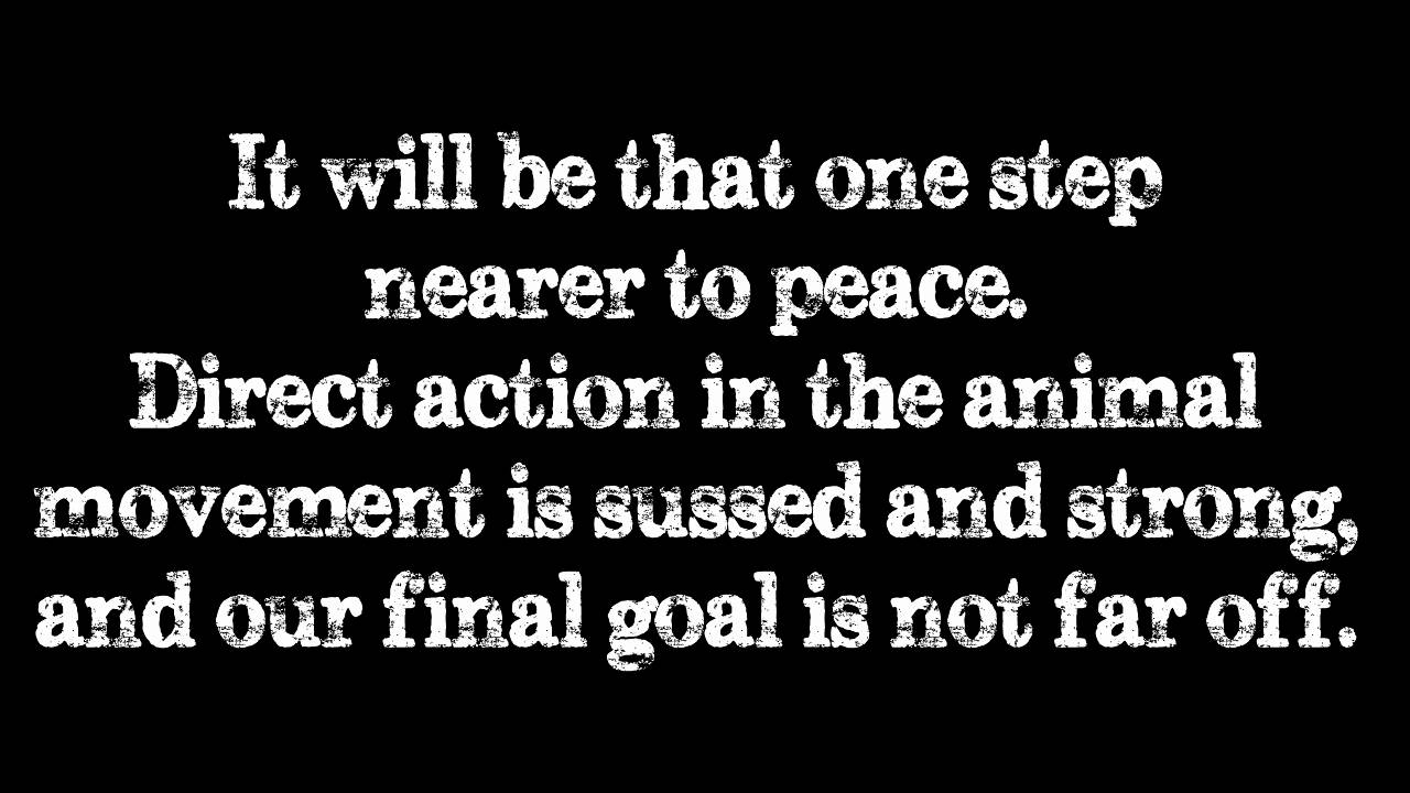 Conflict - This is the A.L.F.  with lyrics