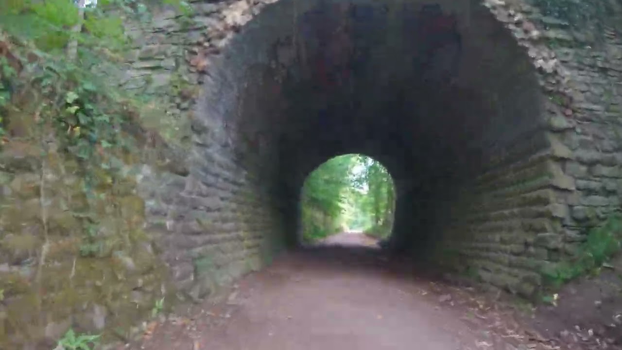 Forest of Dean Colliers Trail E-bike Ride