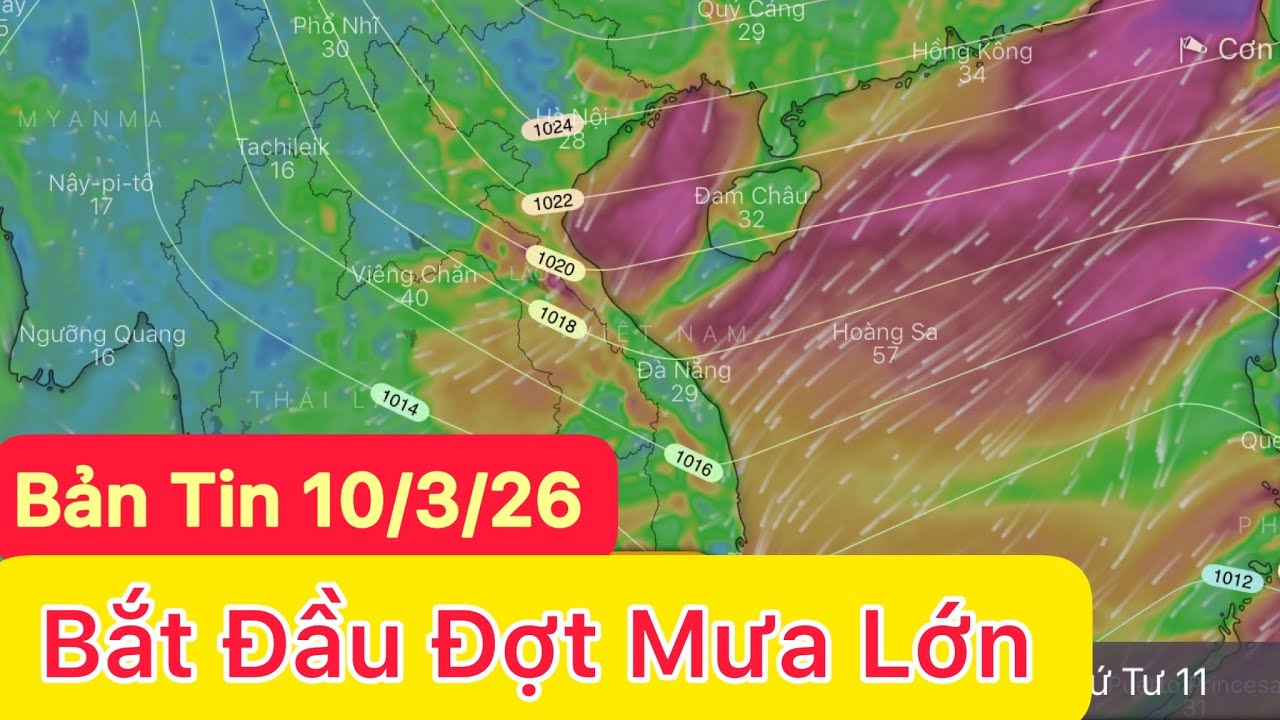 Bắt đầu đợt mưa to | liên tiếp rét tăng cường | Dự báo thời tiết hôm và ngày mai 10/3