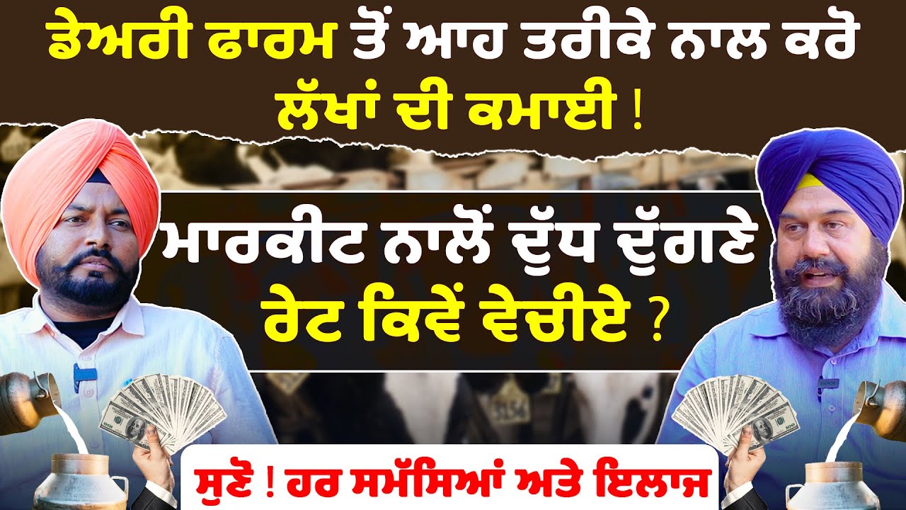 Dairy Farm ਤੋਂ ਆਹ ਤਰੀਕੇ ਨਾਲ ਕਰੋ ਲੱਖਾਂ ਦੀ ਕਮਾਈ ! | dairy farm business | how to start dairy farm