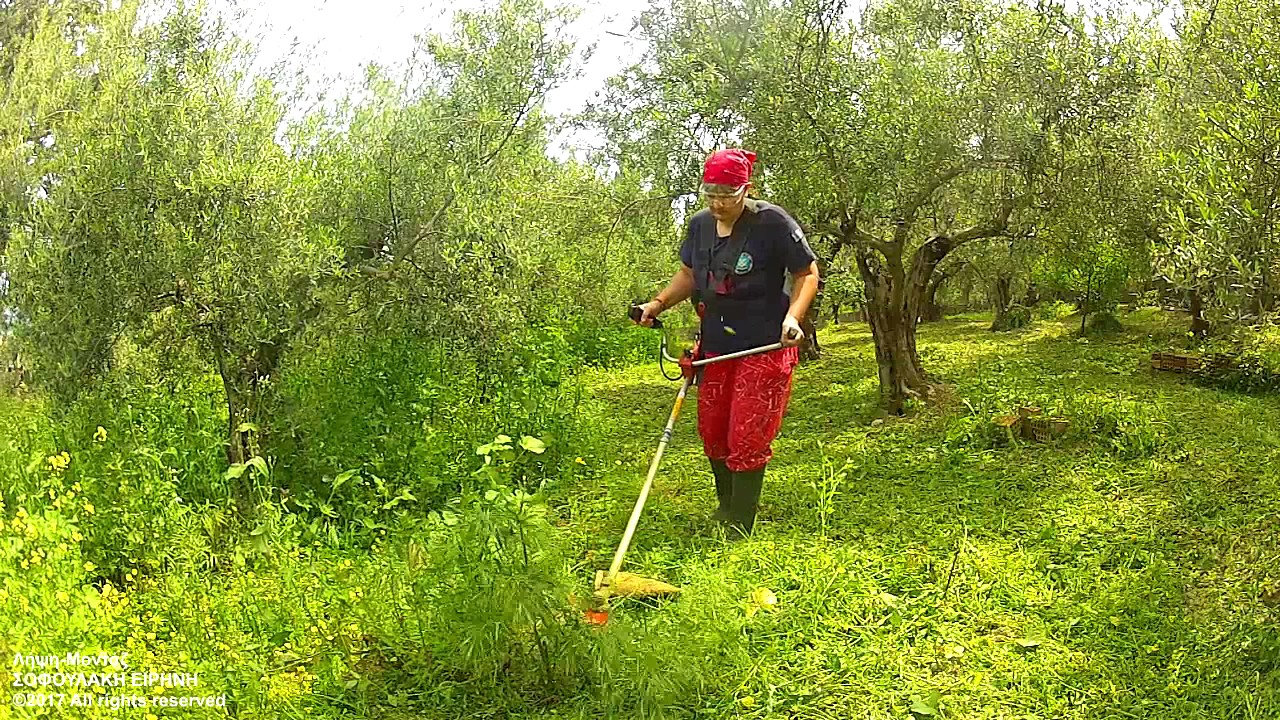 Κόψιμο Χόρτων / Cutting Weeds (2017)