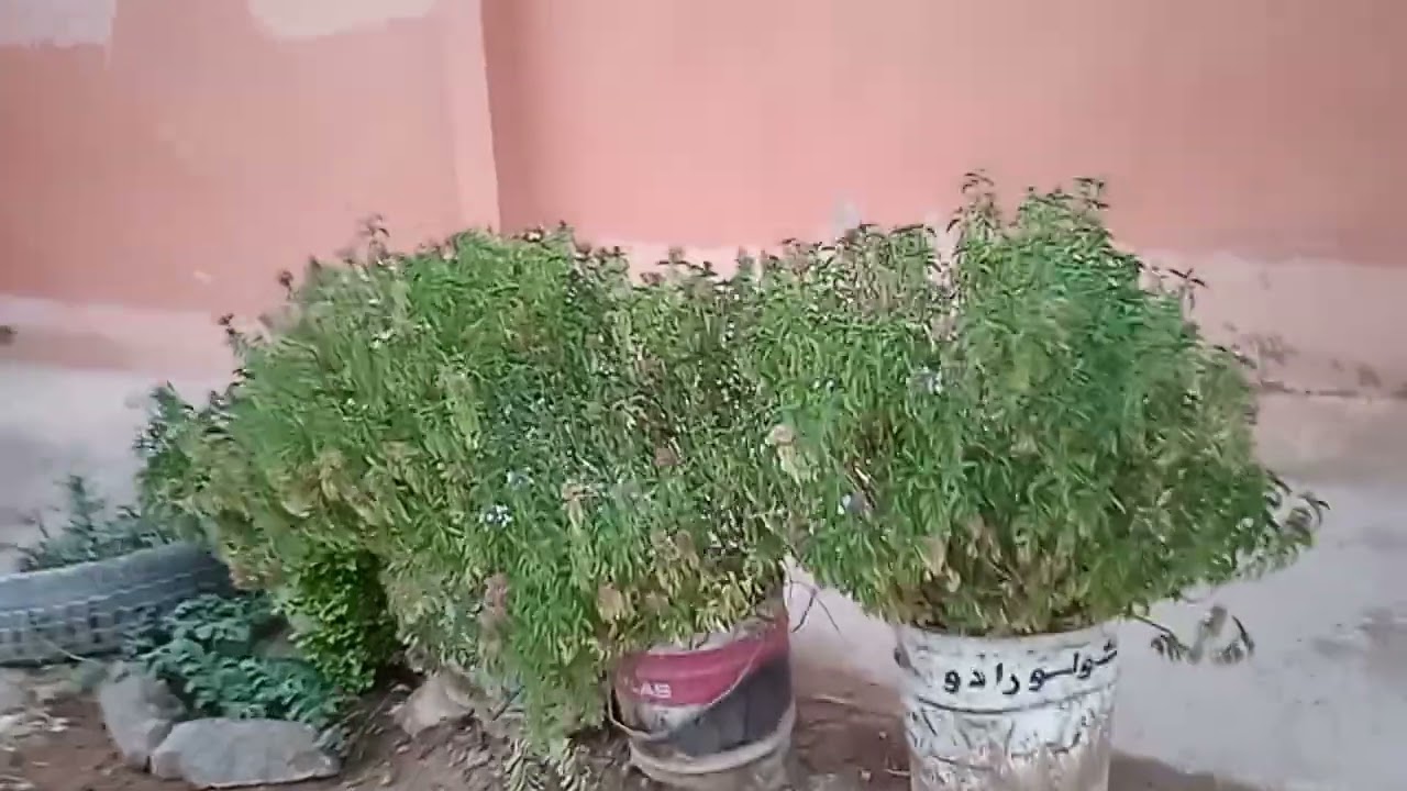 اجيو معي تكتشفوا قريه 🥰 أداي أيت حربيل ♓♓