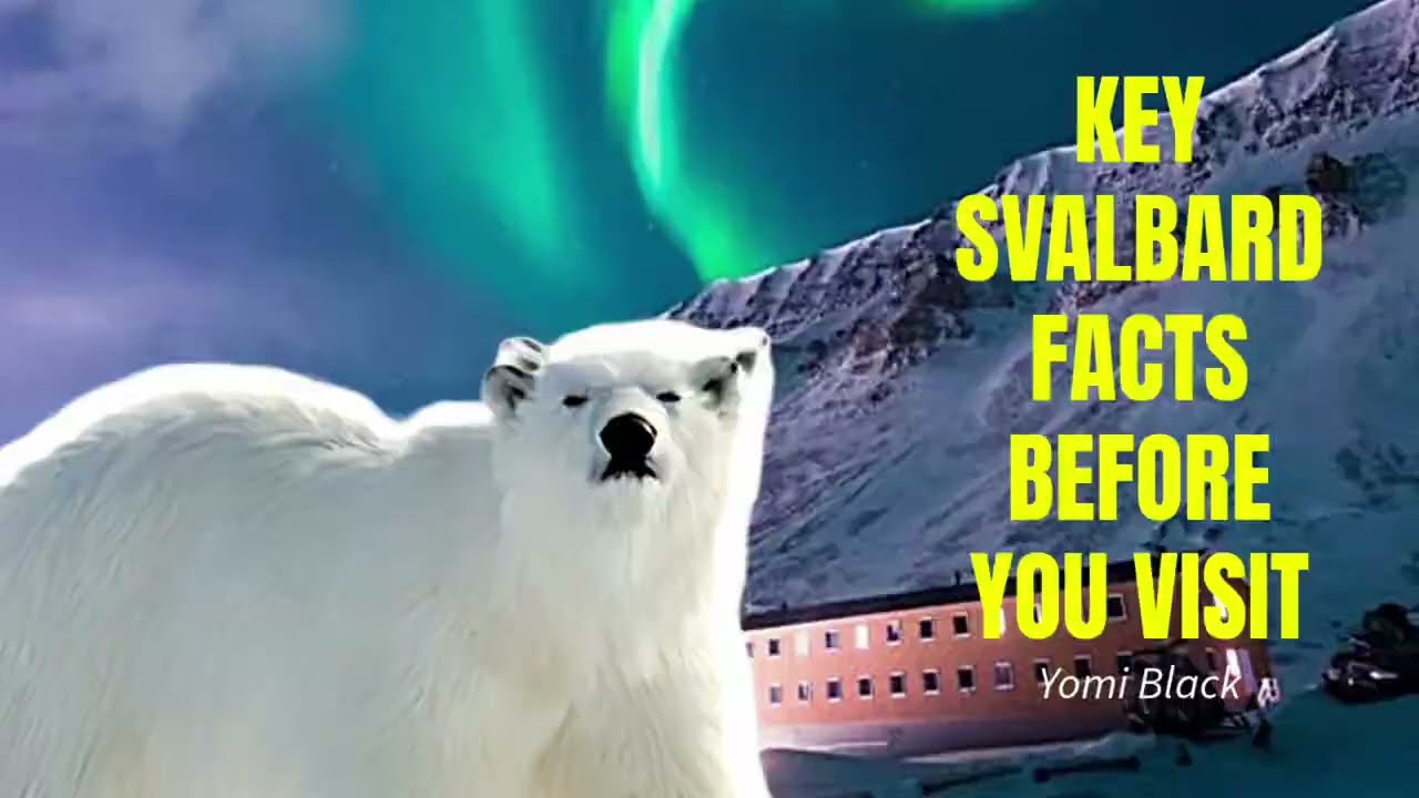 Why I'm Living in Svalbard for Free (and You Can Too)