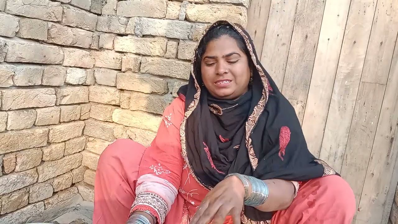 Daily Life Vlog | Bartan, Bachay aur Parindon Ki Shararat | Sonia Ke Vlog