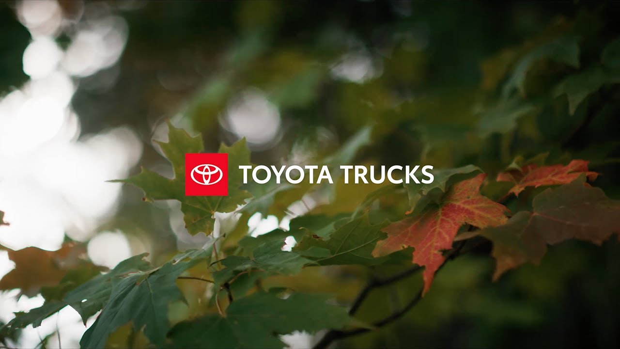 Toyota Detours: исследуйте лабиринты озер Среднего Запада