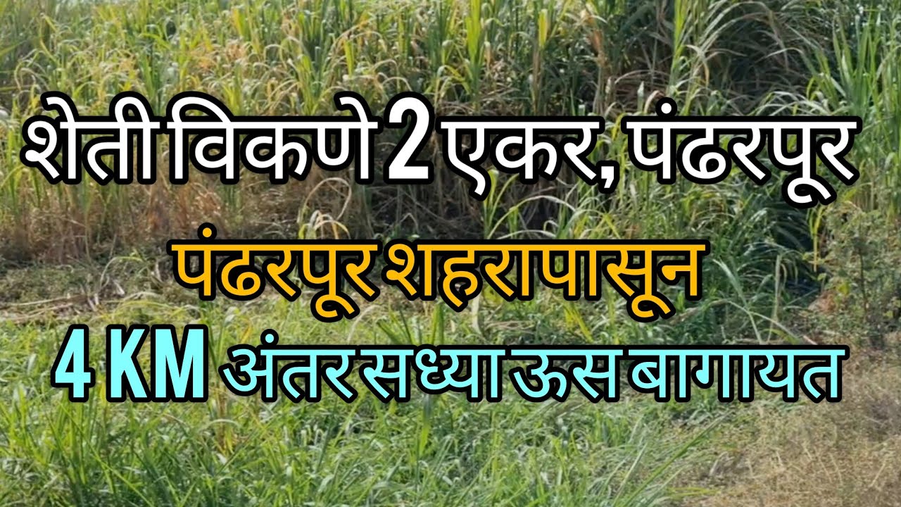 शेती विकणे दोन एकर पंढरपूर शहरापासून  4 km अंतर ( सेल आऊट )
