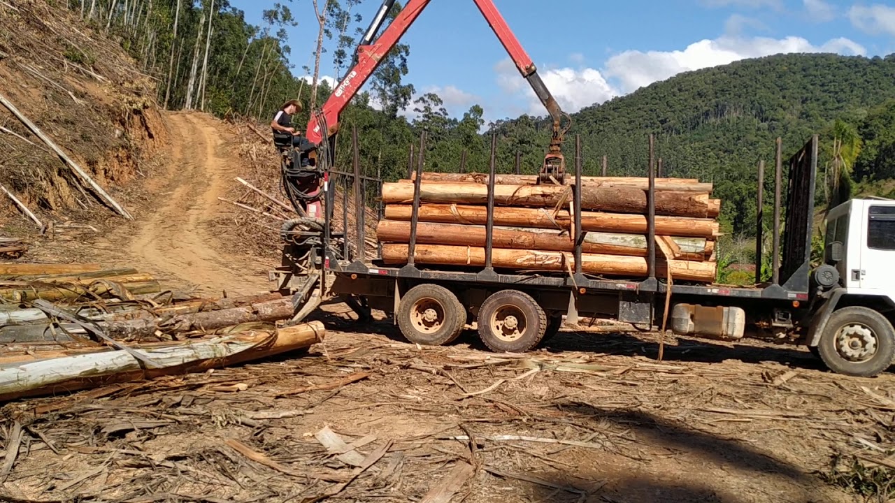 Valdez Beninca operando grua florestal H-fort