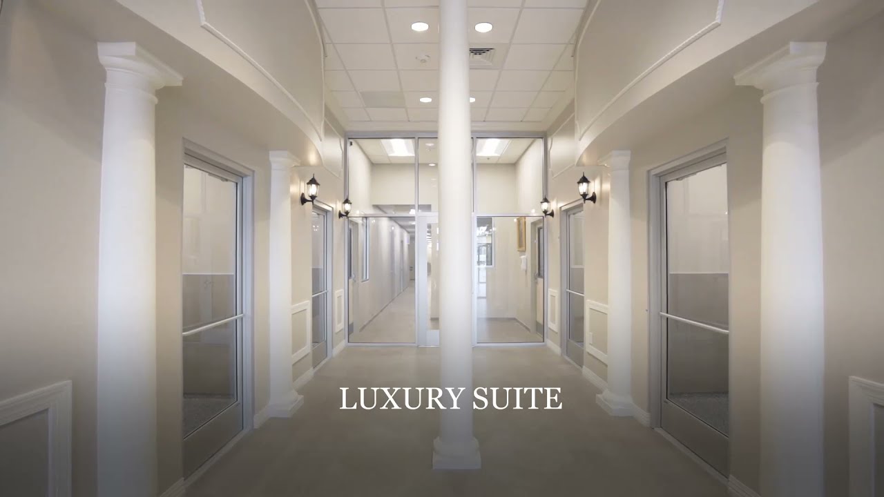 K9 Resorts Houston Energy Corridor