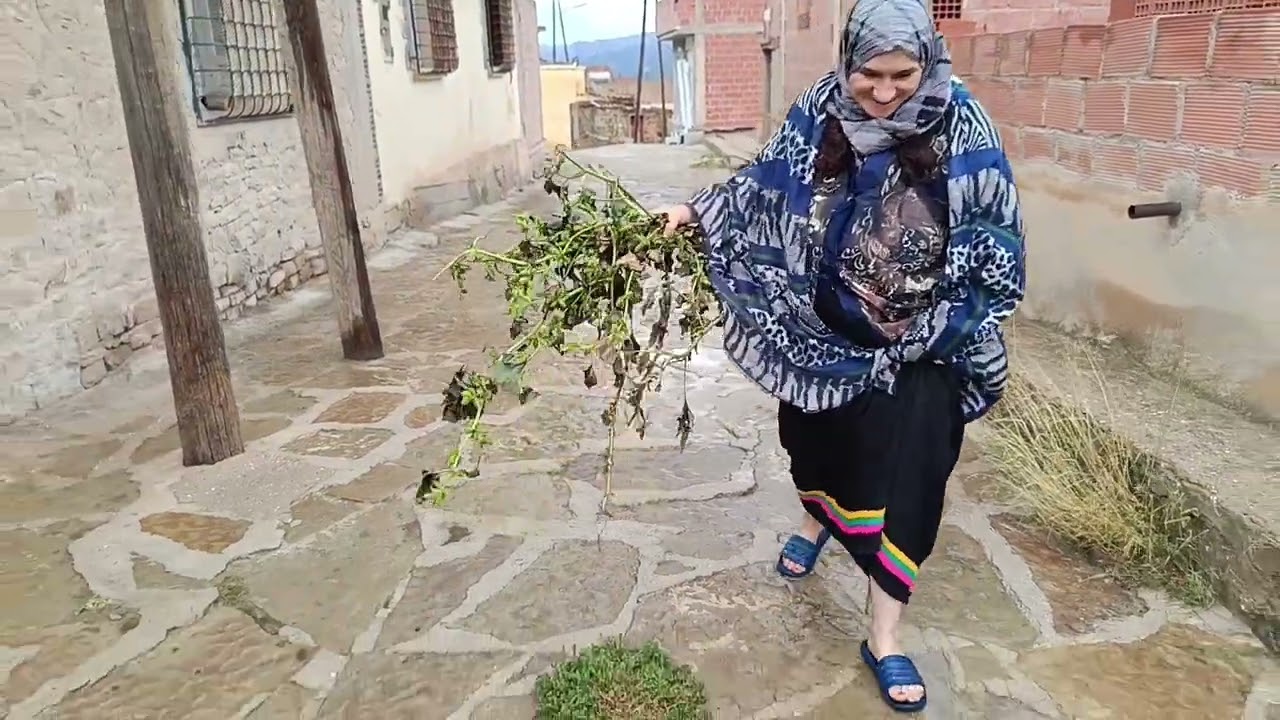 صباح الخيرات و اليمن و البركات .. جو خريفي بامتياز .. 💧احبكم جميعا ❤️