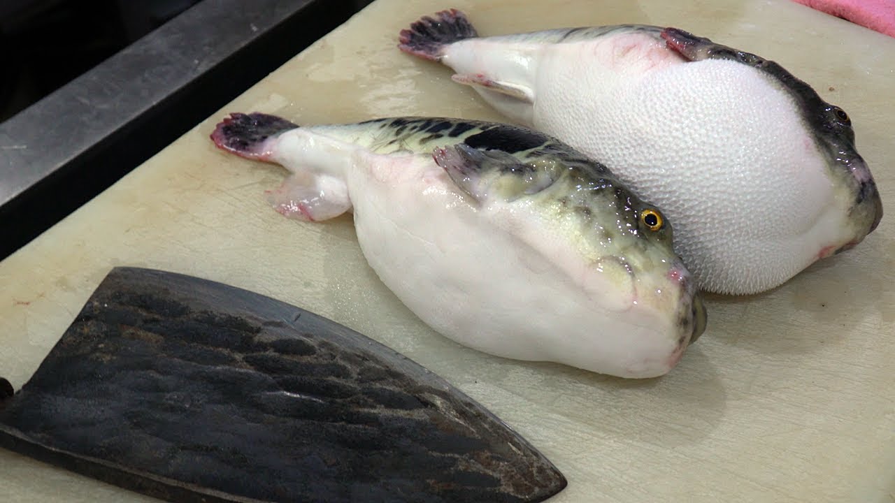 Blowfish отделка сашими Живые морепродукты
