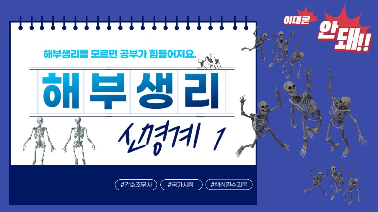 해부생리 신경계 1(대뇌, 소뇌, 간뇌, 뇌간)