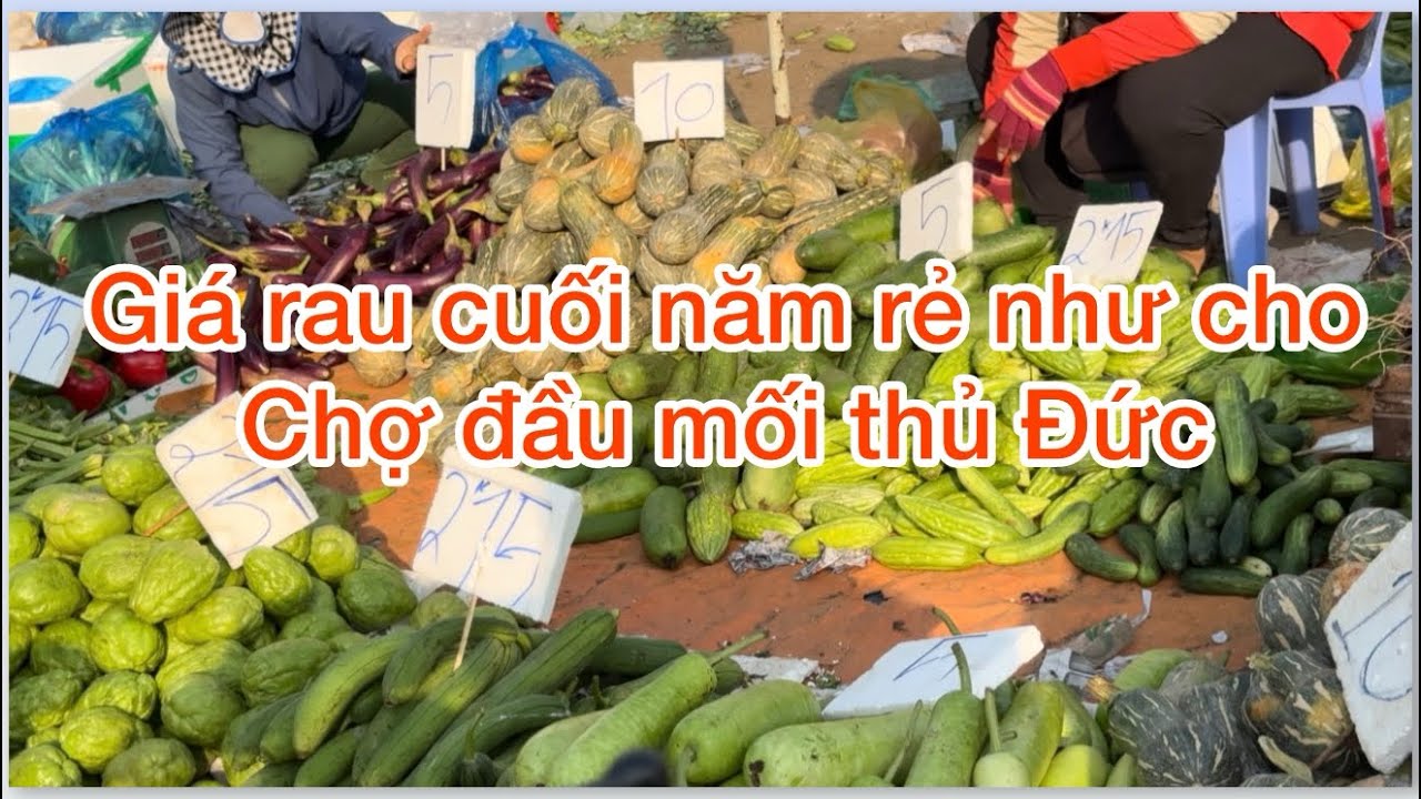 Chợ đầu mối nông sản thủ Đức  giá bán lẻ rau củ rẻ bèo dưa leo 4K /1kg 