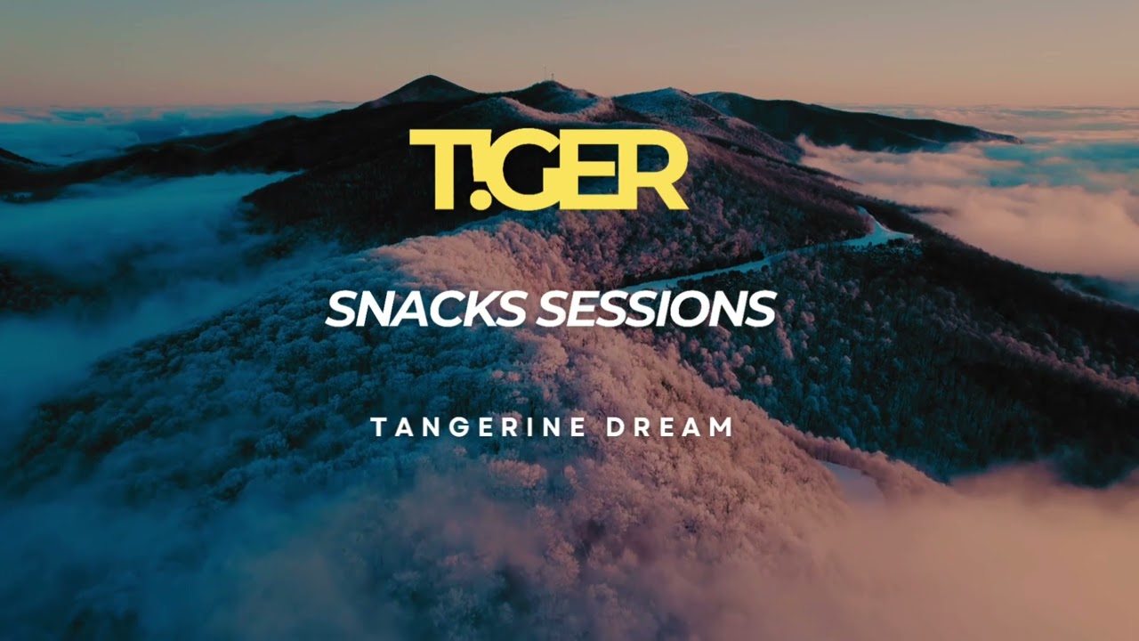 T!GER - Tangerine Dream
