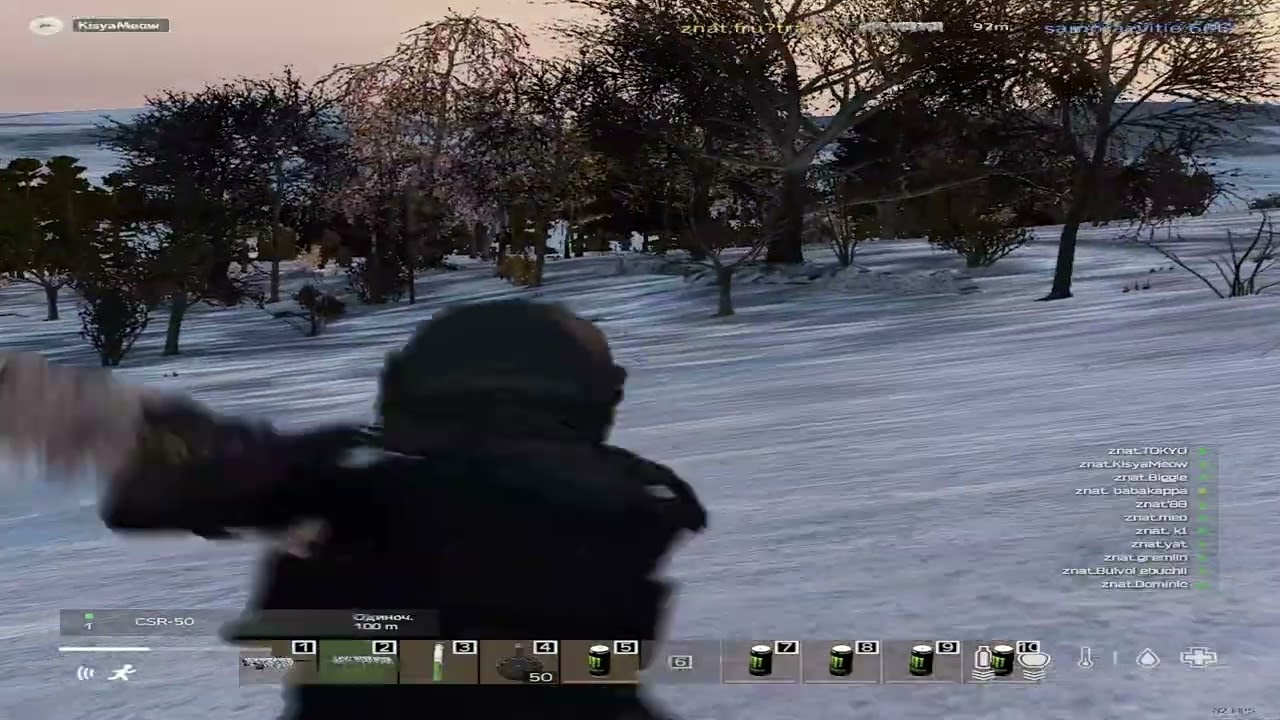 Winter / DayZ Fragmovie #headhunterz