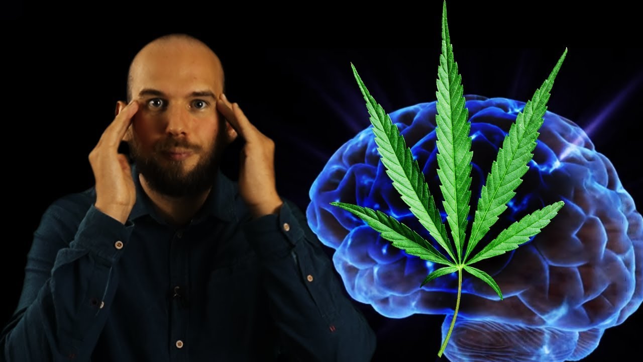 Perch&eacute; la Cannabis ci fa Effetto?