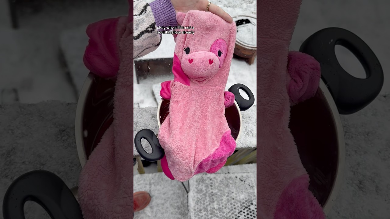 #squishmallows #squishmallow #squish #plush #customsquishmallows #plushie #ritdye #diy #fyp #foryou