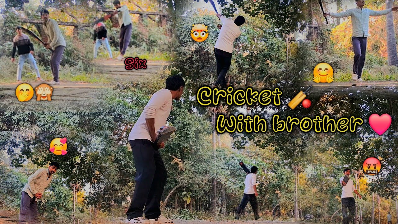 Playing Cricket 🏏 With Brother ❤️ | India Lose the match 🥲 