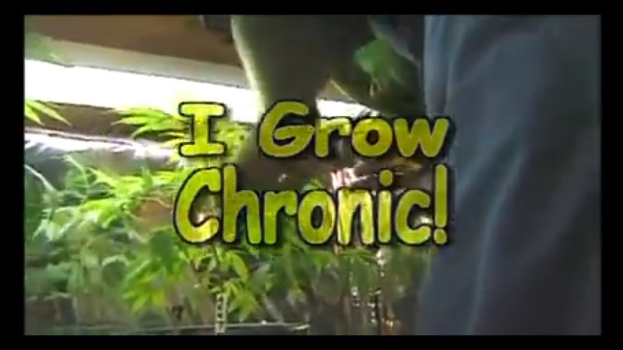 I Grow Chronic by Mr.Green