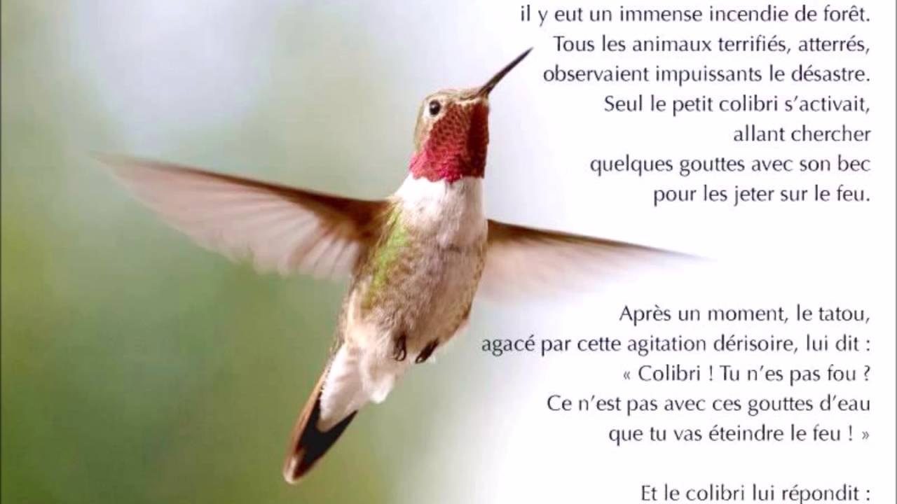Je Suis Comme Le Colibri ( Version calme ) par MIKANAKA