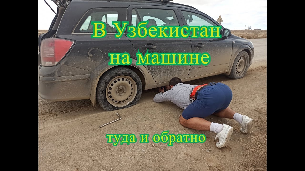 На машине в Узбекистан, туда и обратно.