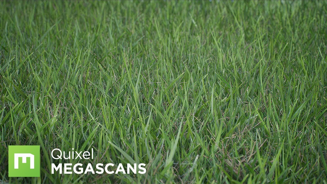 Creating Grass with Color Variation in UE4