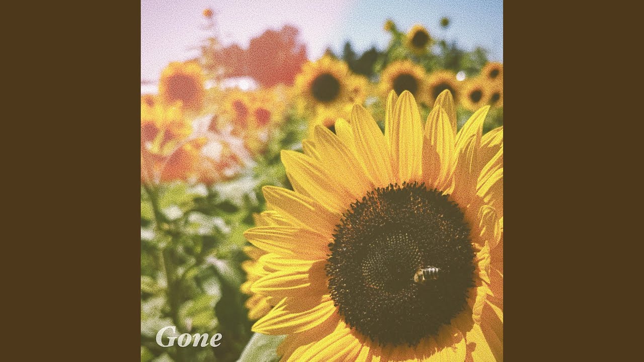 Gone