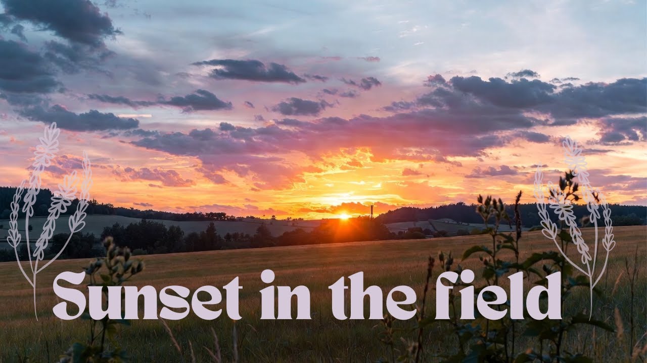 Atardecer relajante -Desconecta y respira